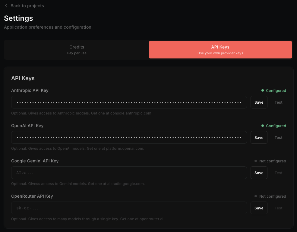 Settings page showing API key inputs with provider options